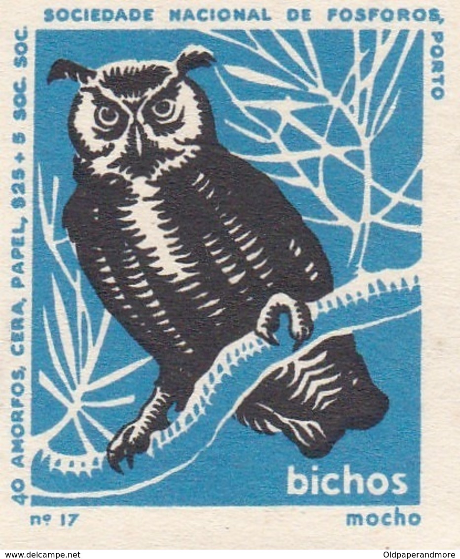 PORTUGAL MATCHBOX LABEL - VIGNETTE - CINDERELA - BIRDS - BIRD - OWL - - Zündholzschachteletiketten
