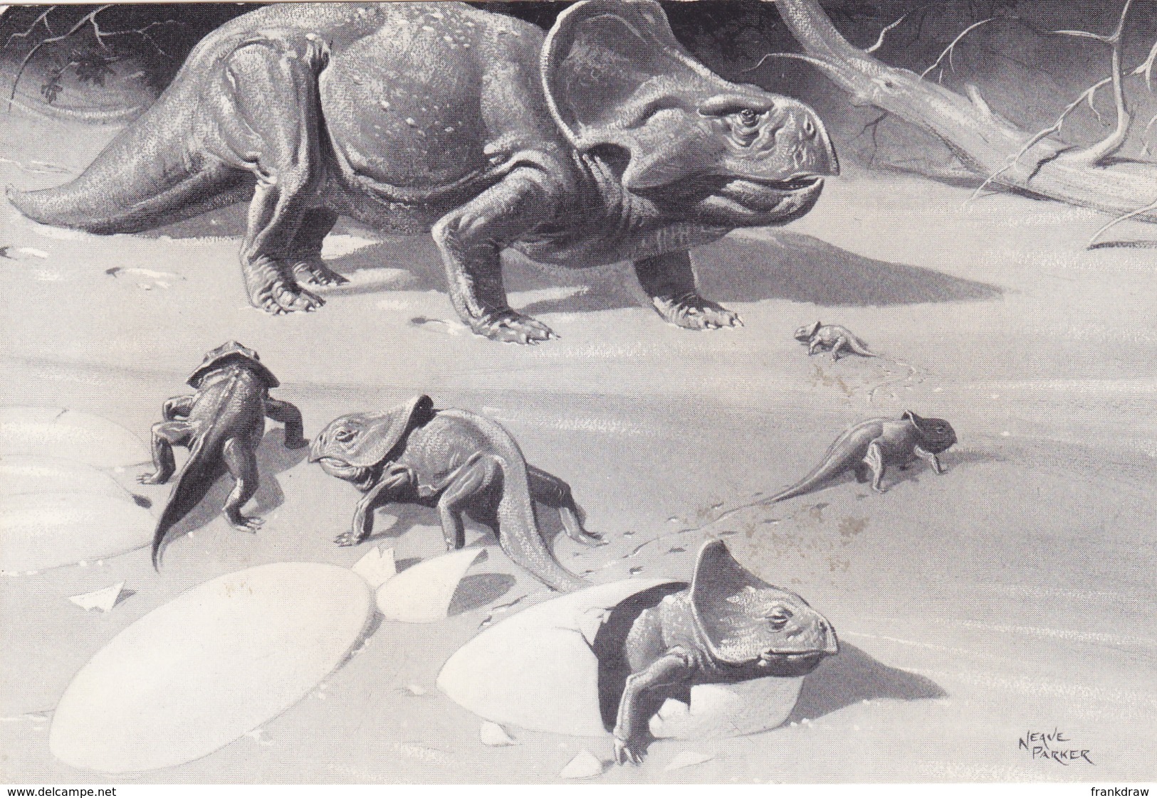 Postcard - Protoceratops - A Plant Eating Dinosaur About 2m Long, Lived About 90 Million Years Ago - Card No. G85 - VG - Non Classés