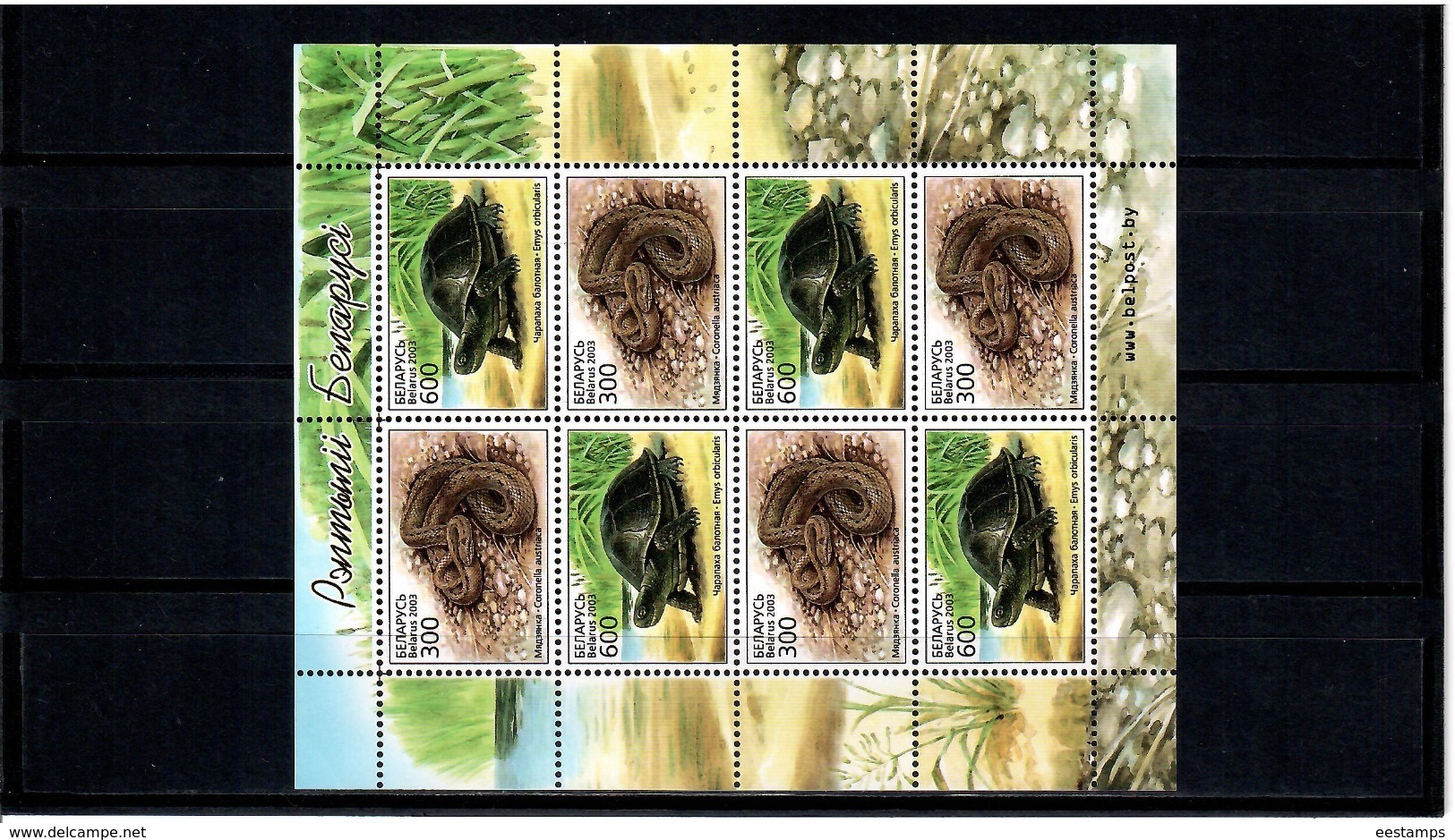 Belarus 2003 . Reptiles: Snake, Turtle. Sheetlet Of 8 (4 Sets).  Michel # 481-82 KB - Bielorussia