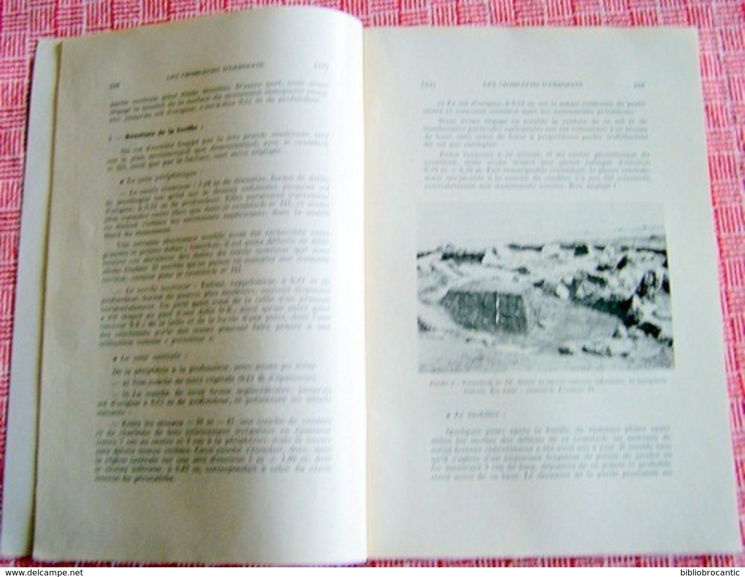 BULLETIN Du MUSEE BASQUE N°78(4°tr/1977)CHROMLECHS ERROZATE/AINTZINA Etc... /Sommaire Sur Scan - Baskenland