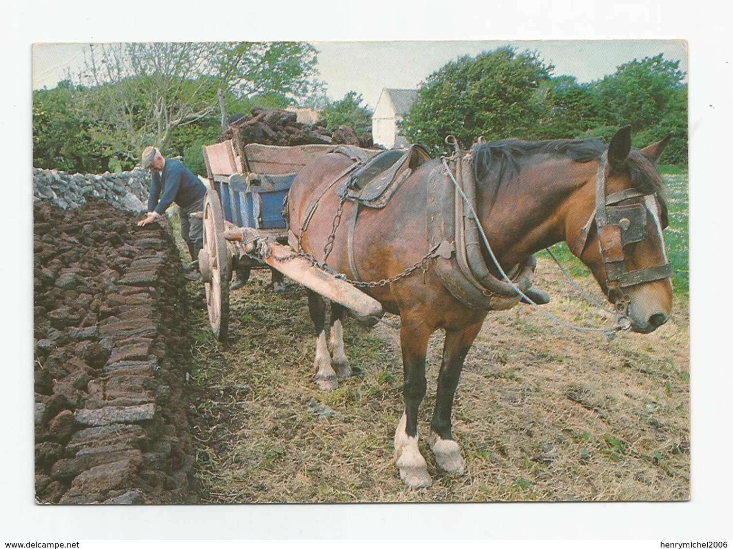 Cpm Métier Ireland Stacking The Turf For Winter Attelage Cheval , Photograph Peter O Toole - Campesinos