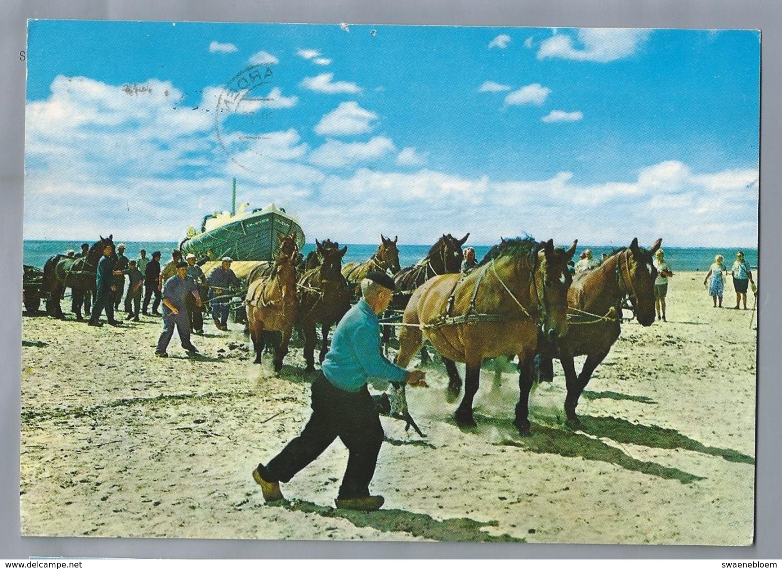 NL.- AMELAND. HOLLUM. De Reddingsboot Wordt Uit Zee Getrokken. Paarden. Boot. - Ameland