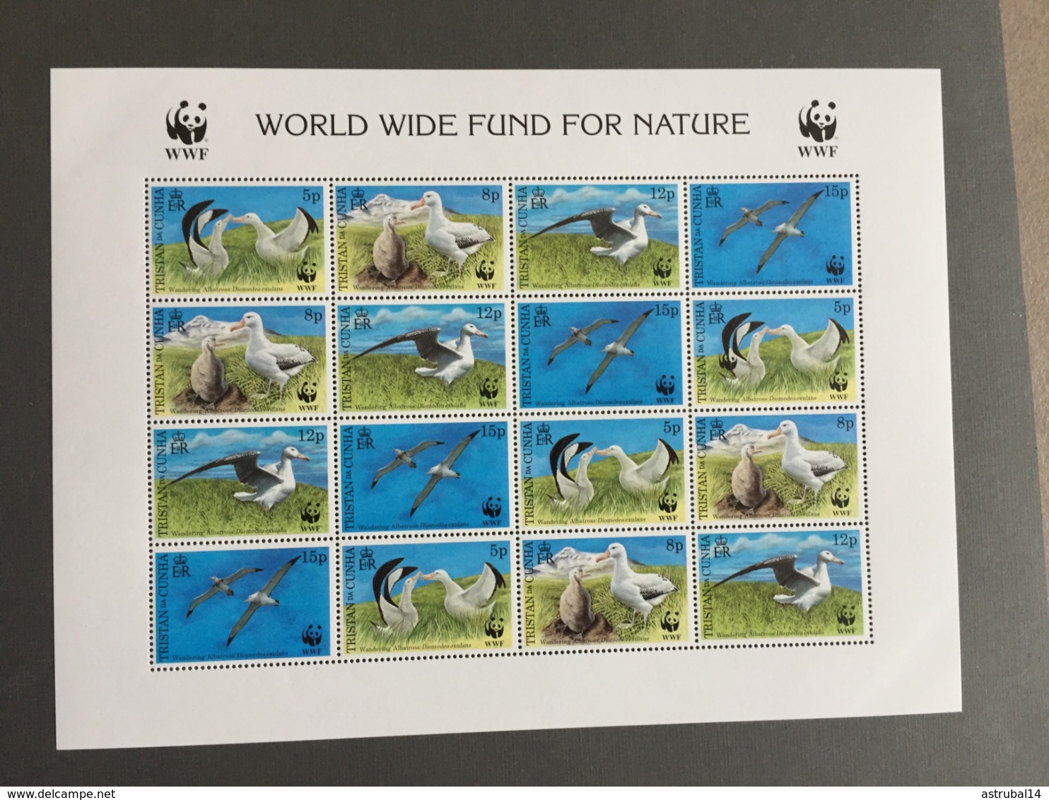 Lot De 20 Feuillets Et Blocs WWF MNH Neufs 1988-2009 - Lots & Serien