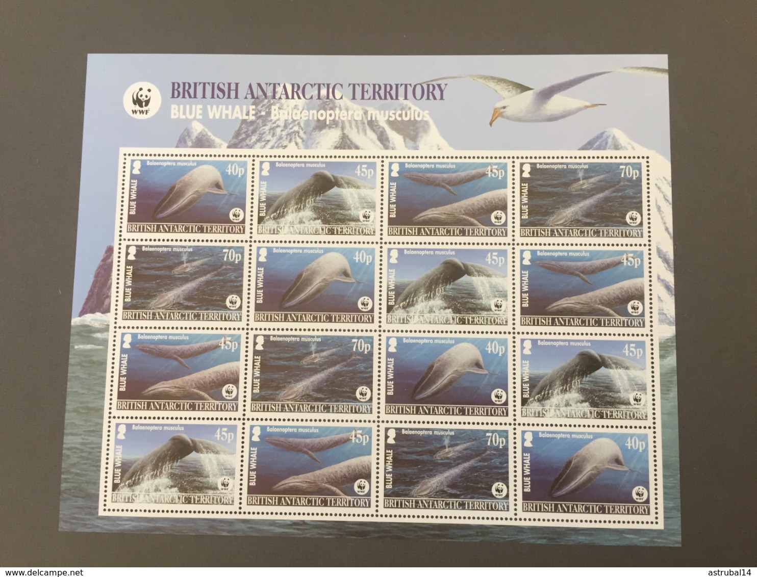 Lot de 20 feuillets et blocs WWF MNH neufs 1988-2009