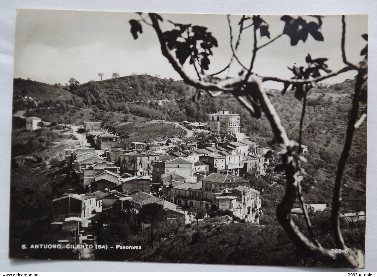 Q301 CARTOLINA Di S.ANTUONO CILENTO   SALERNO   VIAGGIATA - Salerno