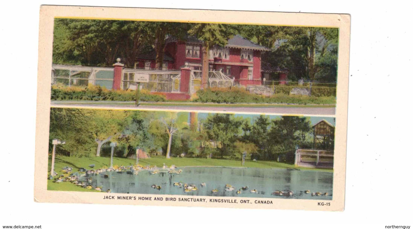 KINGSVILLE, Ontario, Canada, Jack Miner's Home & Bird Sanctuary, Old WB Postcard, Essex County - Port Arthur