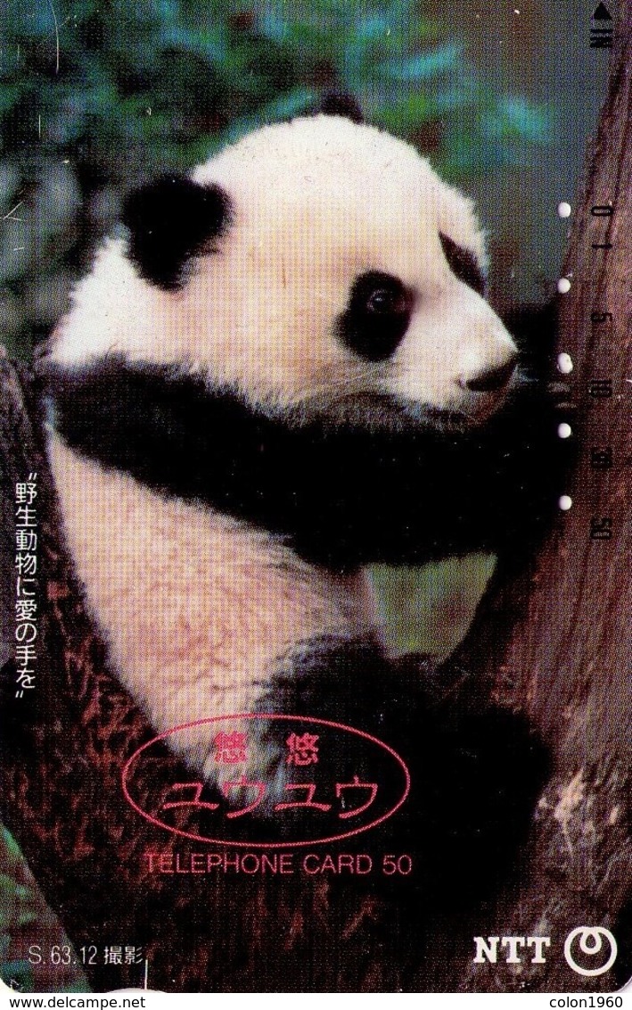 JAPON. FAUNA. OSO PANDA - PANDA BEAR. Yu-Yu The Panda. JP-230-153 A. (191) - Otros & Sin Clasificación