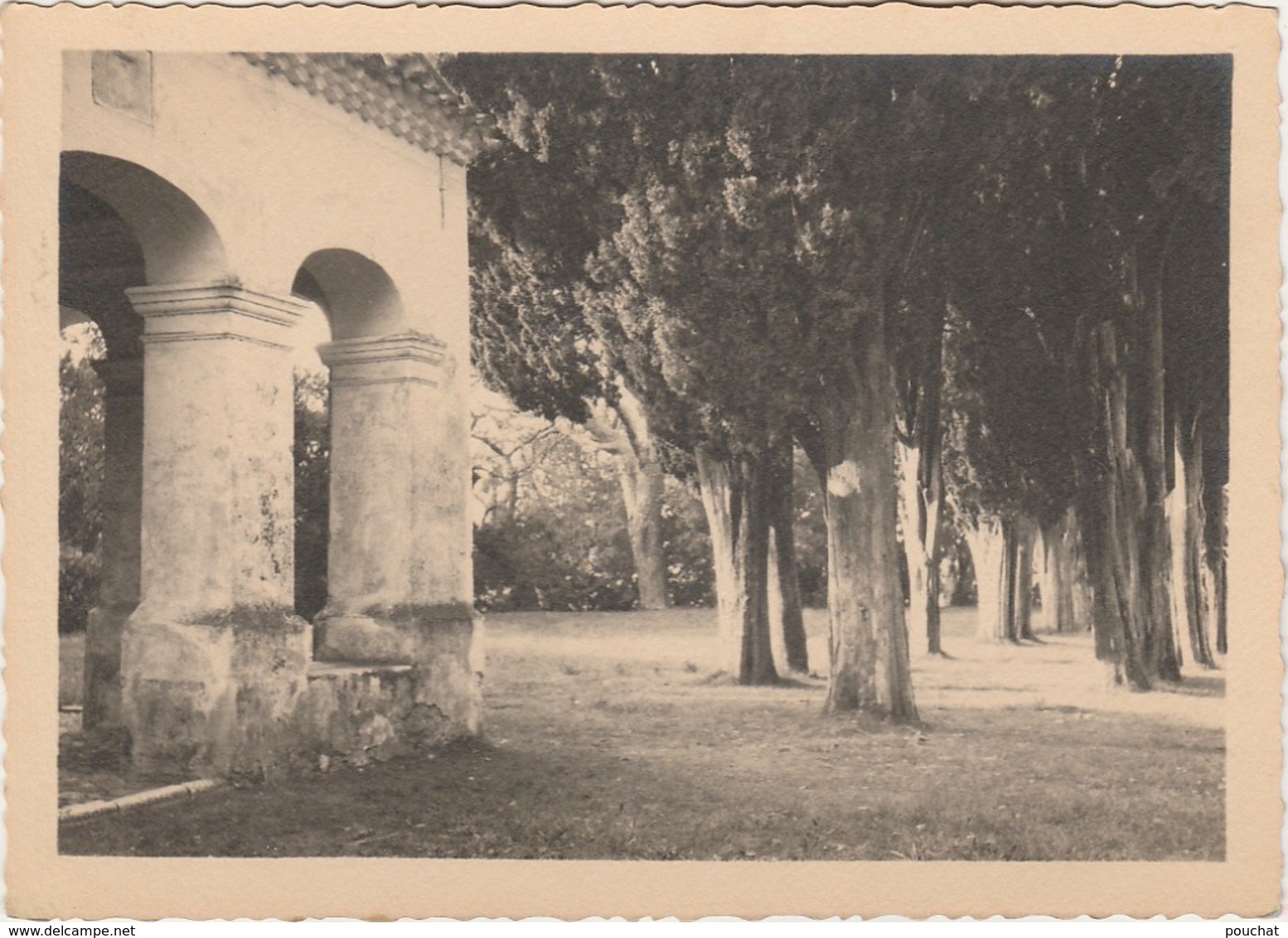 G28- PHOTO - EDITEUR MANIEZZI , NICE - SAINT CASSIEN - LA CHAPELLE ET LES CYPRES - (2 SCANS) - Places