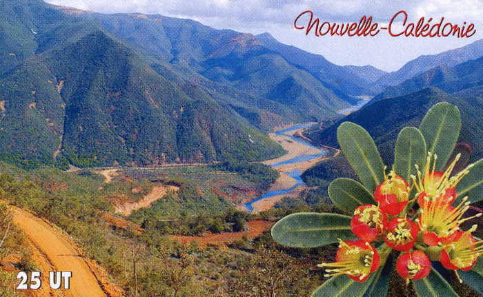 Telecarte De Nouvelle Caledonie NC139 - Nouvelle-Calédonie