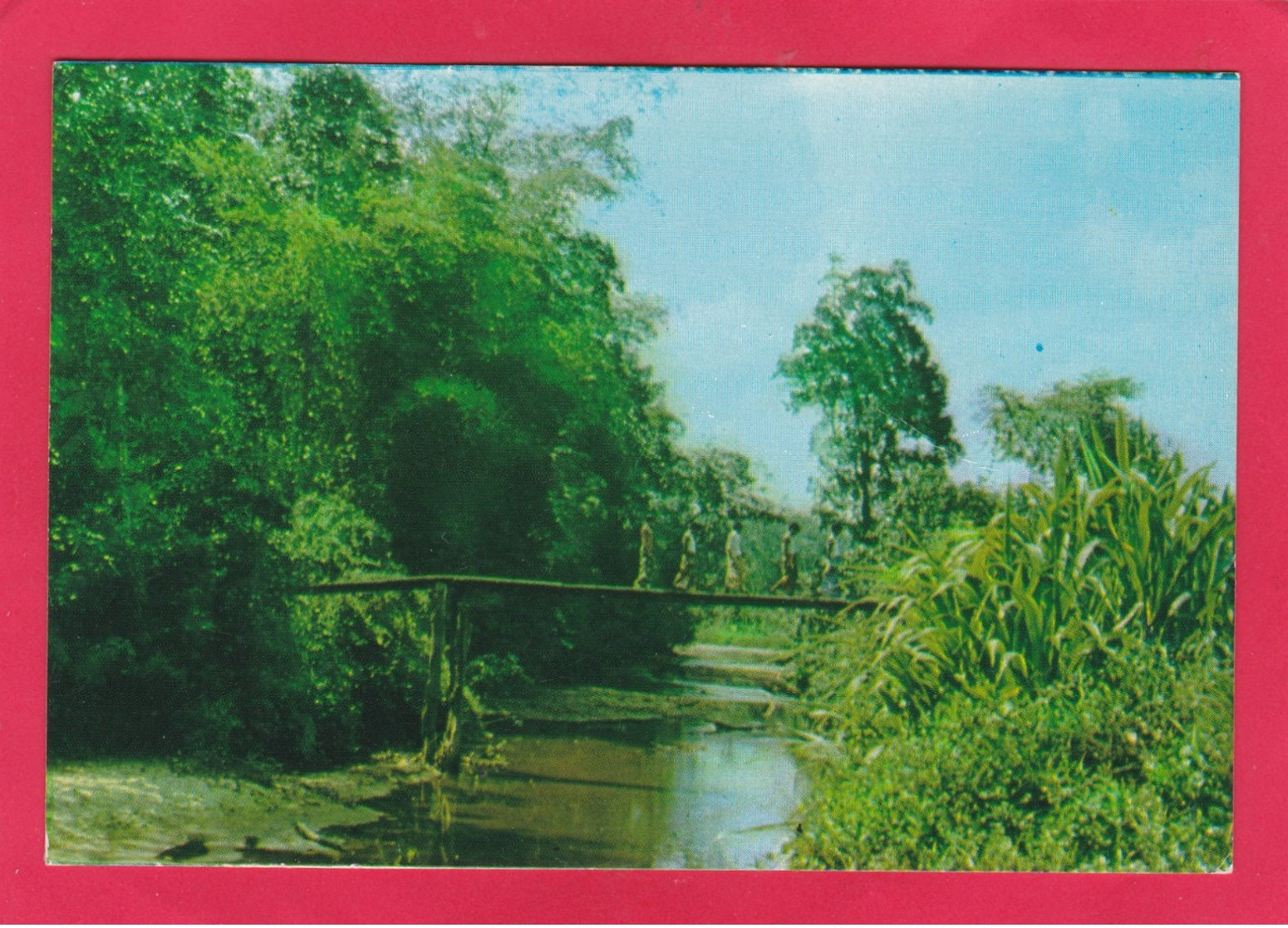 Modern Post Card Of A Foot Bridge,Sri Lanka (Ceylon),A29. - Sri Lanka (Ceylon)