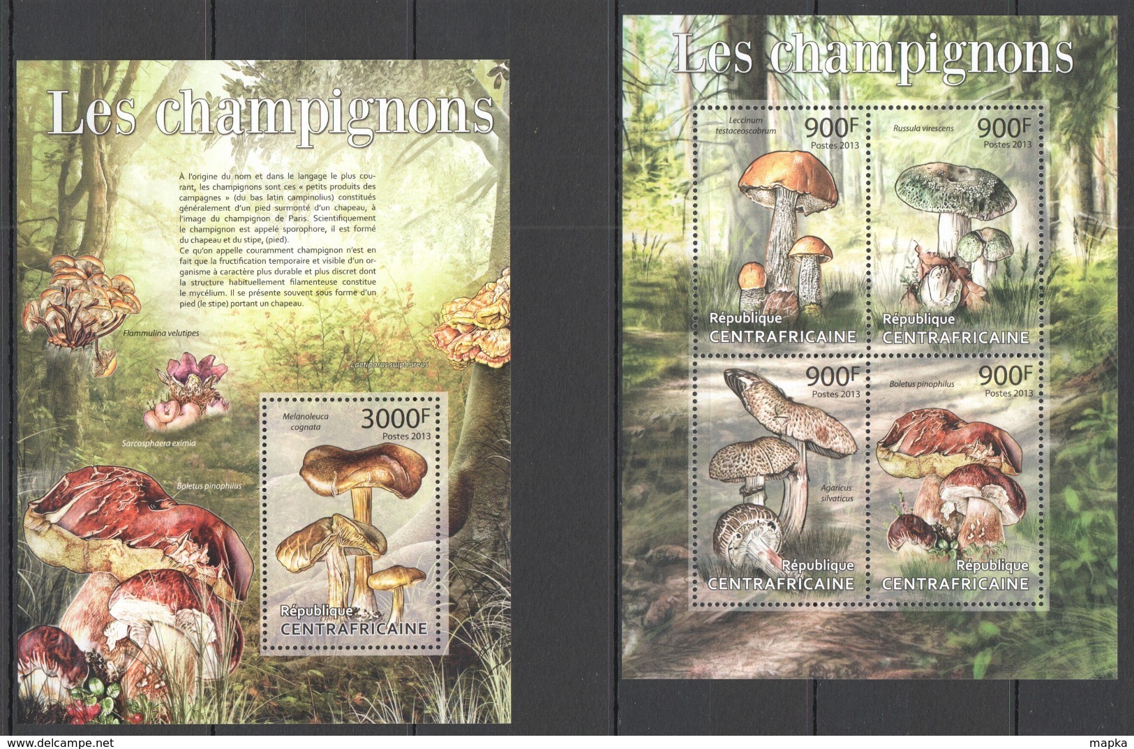 CA630 2013 CENTRAL AFRICA CENTRAFRICAINE NATURE FLORA MUSHROOMS LES CHAMPIGNONS KB+BL MNH - Mushrooms