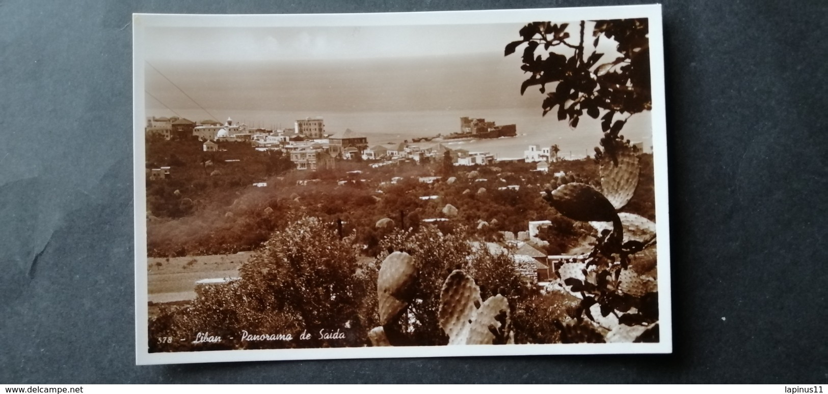 Liban Lebanon Panorama De SAIDA   1941  Original Photo - Libanon