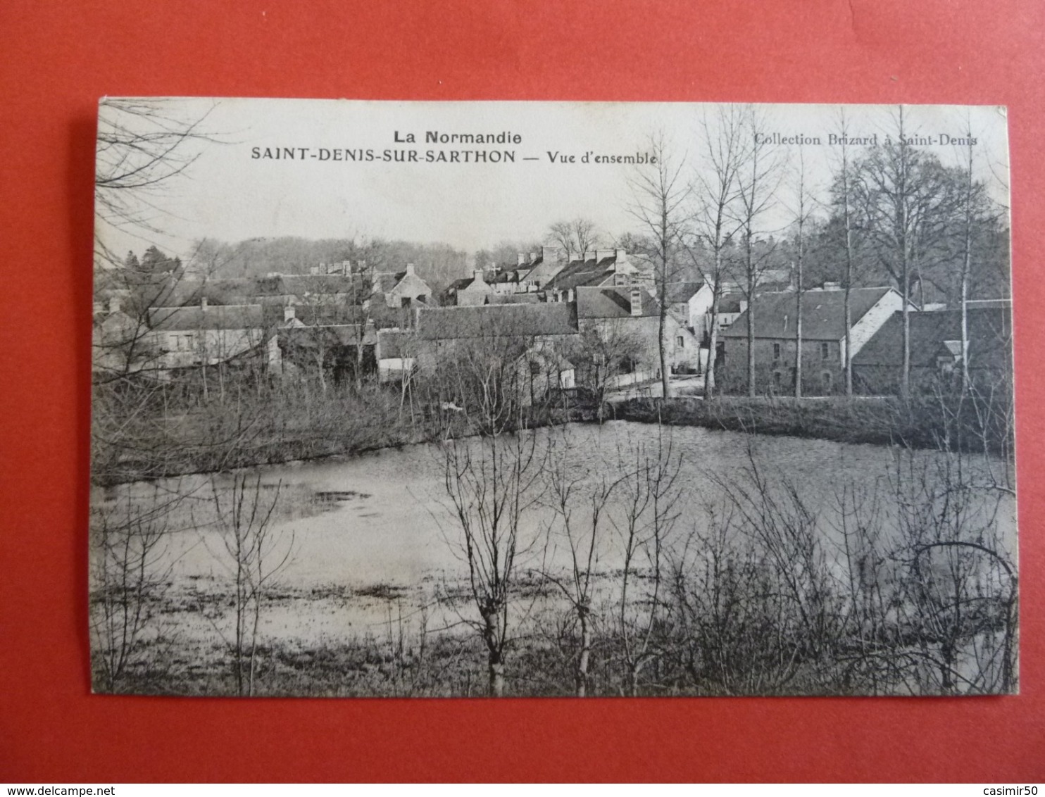 SAINT DENIS SUR SARTHON VUE D'ENSEMBLE - Autres & Non Classés