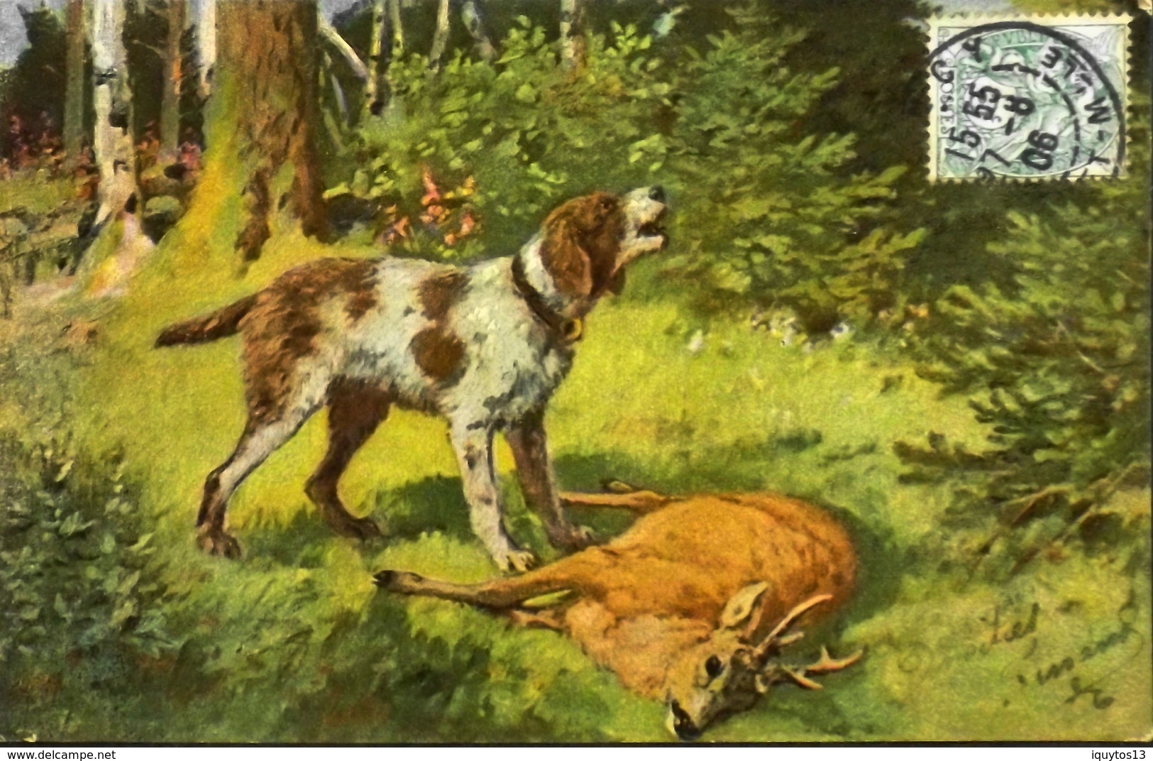 CPA. - Un Chien De Chasse - Daté 1906 - TBE - Chiens