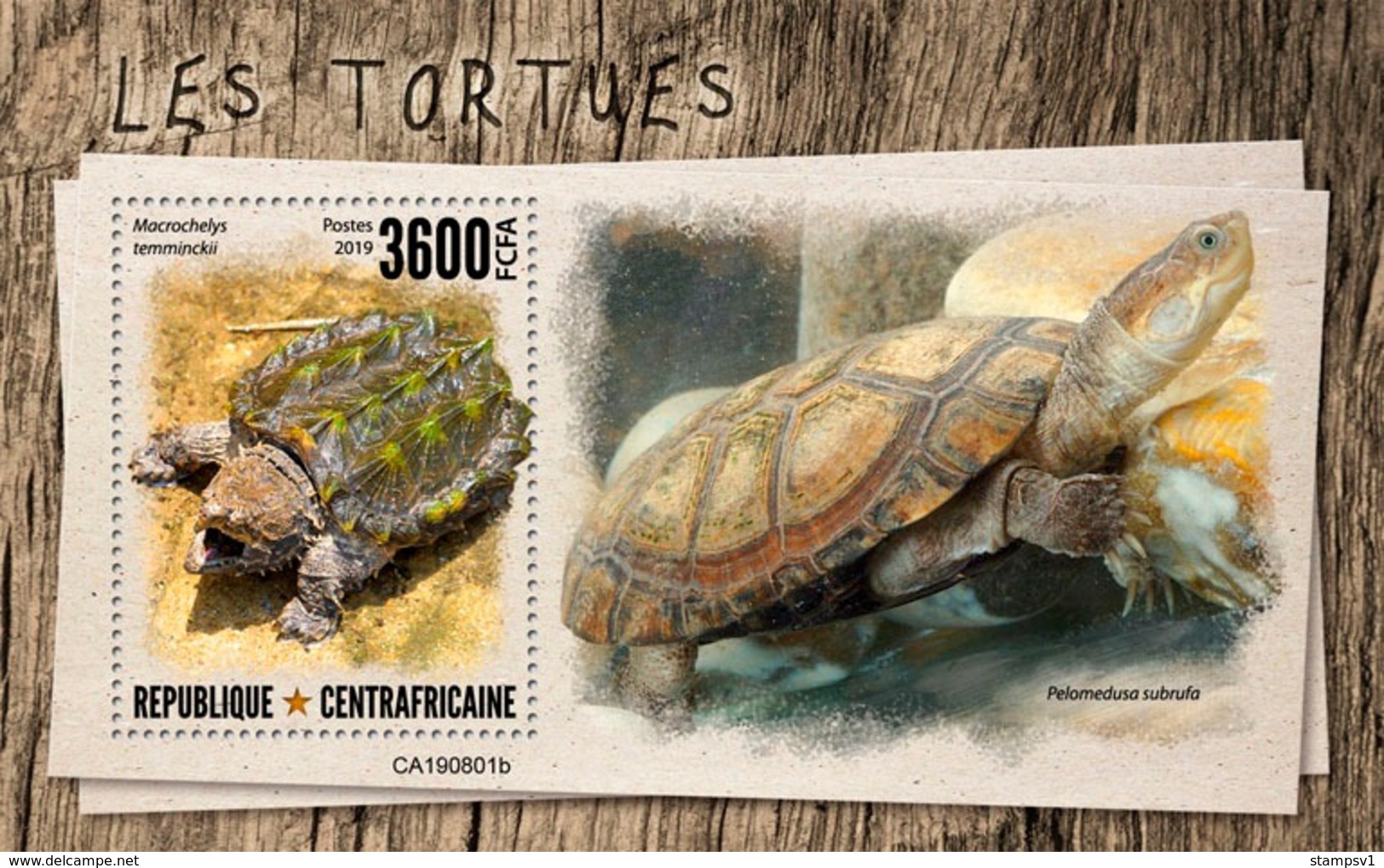 Central Africa. 2019 Turtles. (0801b)  OFFICIAL ISSUE - Schildpadden