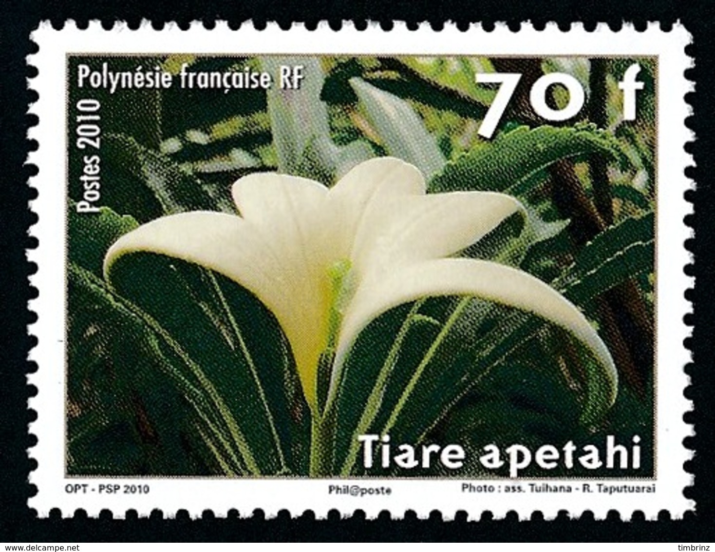 POLYNESIE 2010 - Yv. 904 **   Faciale= 0,59 EUR - Fleur Tiare Apetahia Raiateensis  ..Réf.POL24870 - Ungebraucht