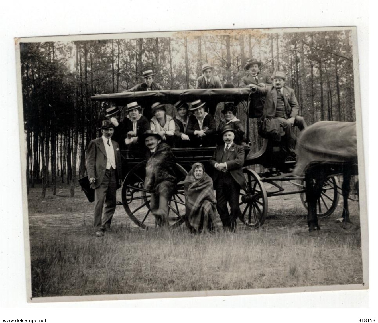 Paardenkoets (oude Foto Begin 1900 ; 11x8 Cm)) - Chevaux