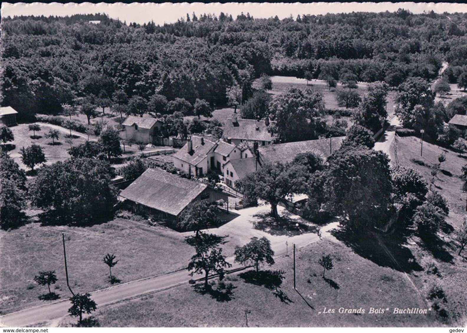 Buchillon, Les Grands Bois Vu D'avion (77049) 10X15 - Buchillon