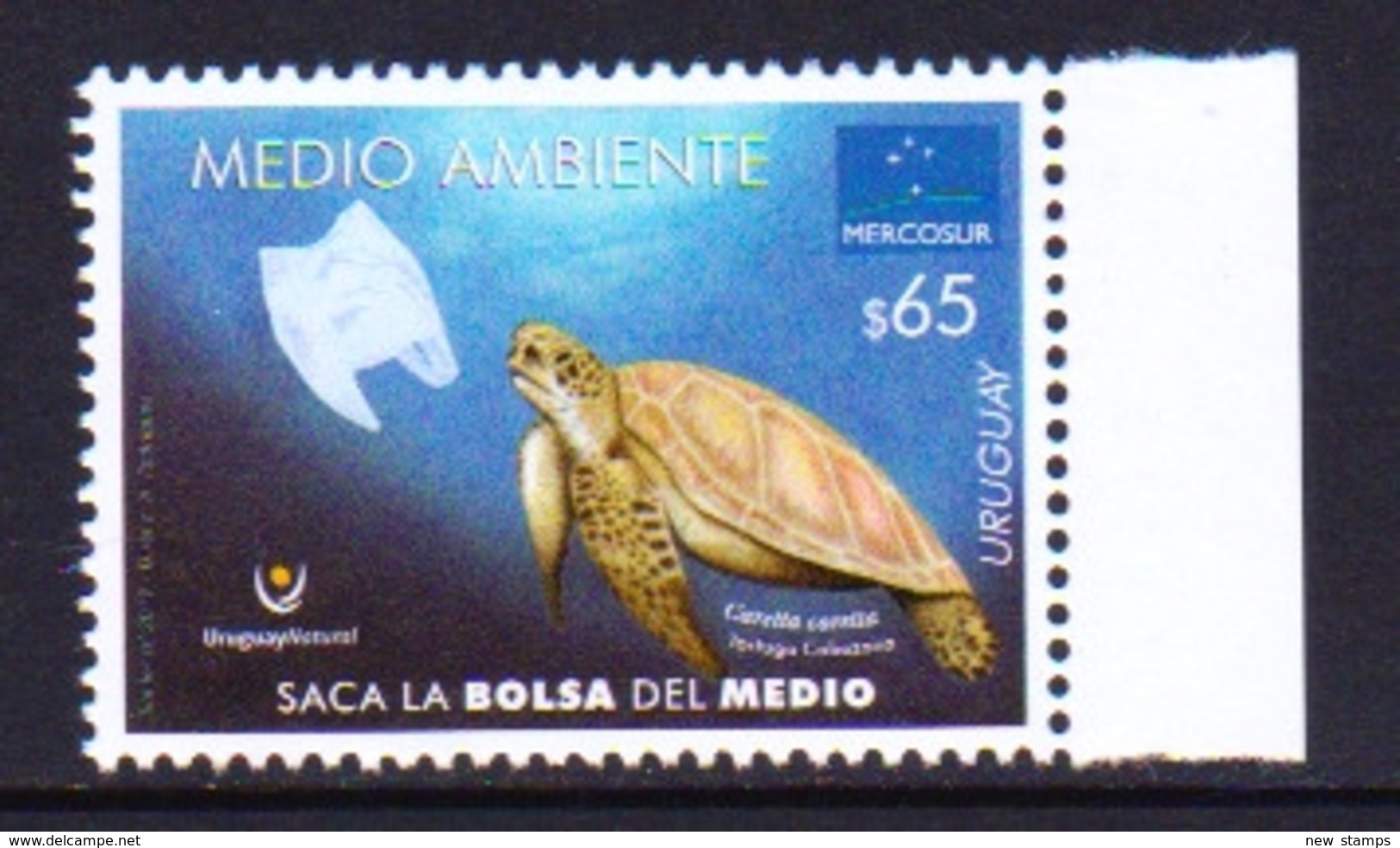 Uruguay 2019 Mercosur Marine Fauna Turtle 1v MNH - Schildpadden