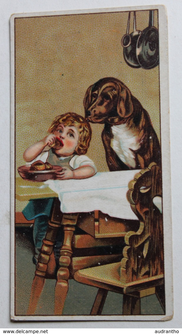 Rare Chromo Chocolat Flick Erven Caspar Flick Amsterdam Höllandischer Cacao Enfant Chien Gourmand - Autres & Non Classés