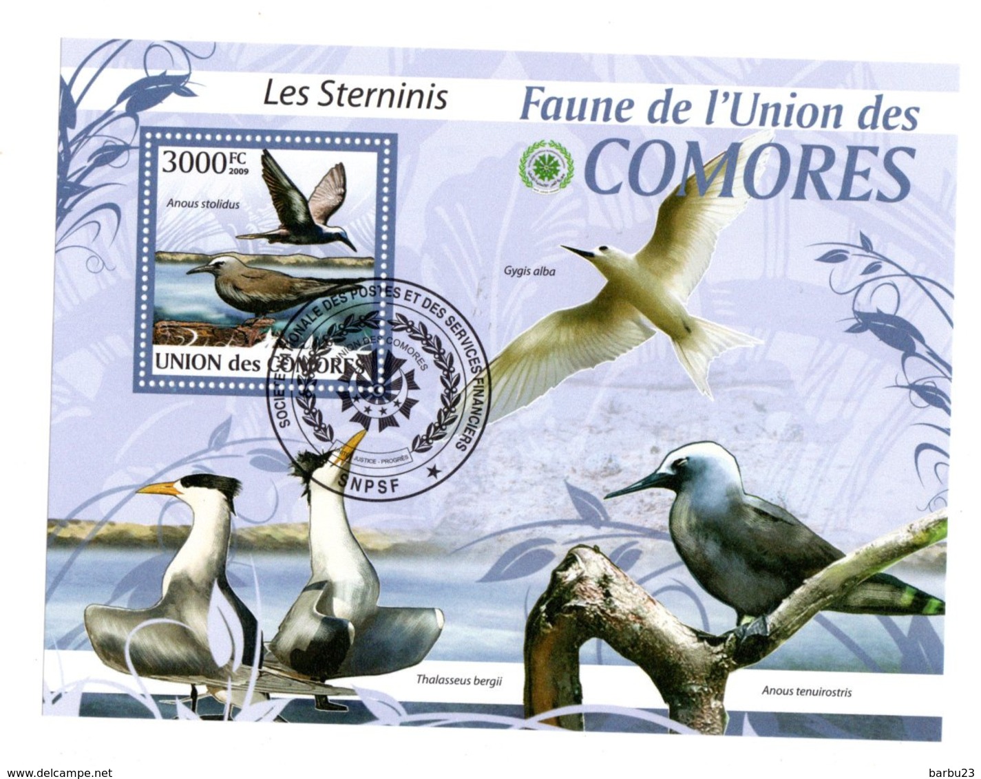 Sternes Bloc De L'Union Des Comores - Seagulls