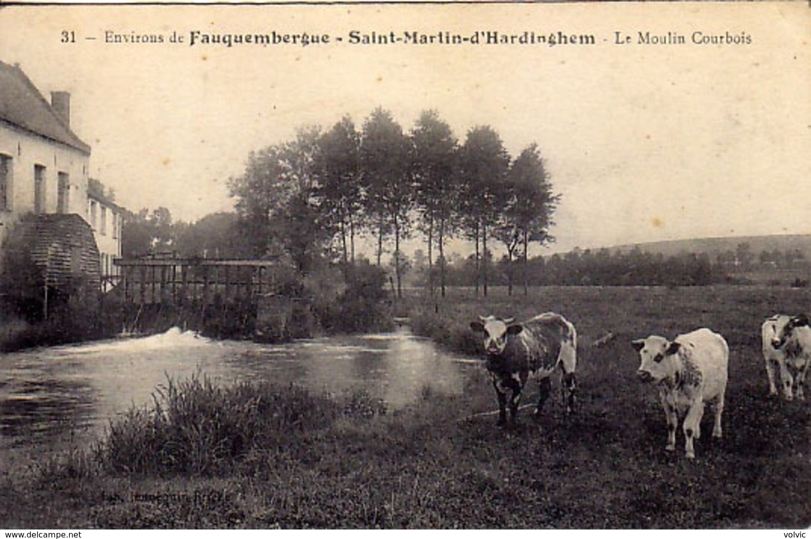 62 - Environs De FAUQUEMBERGUE - Saint-Martin-d'Hardinghem - Le Moulin Courbois - - Fauquembergues