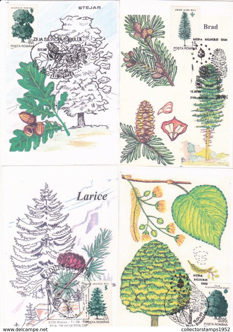 LOT 28 ITEMS, FORESTRY, TREES, SEE SCAN IMAGE! - Bäume