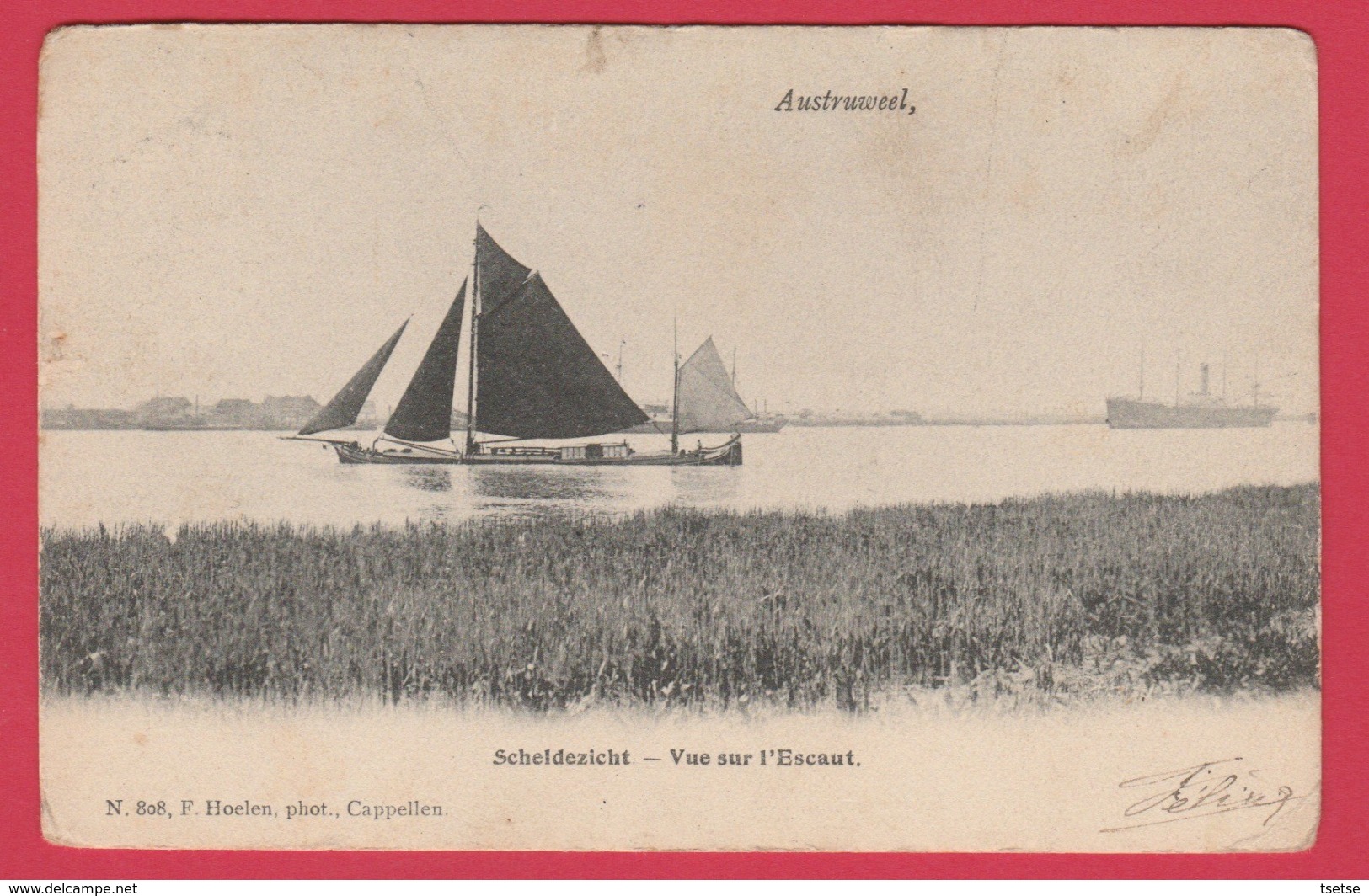 Oosterweel / Austruweel - Scheldezicht - 1907 ( Verso Zien ) - Antwerpen