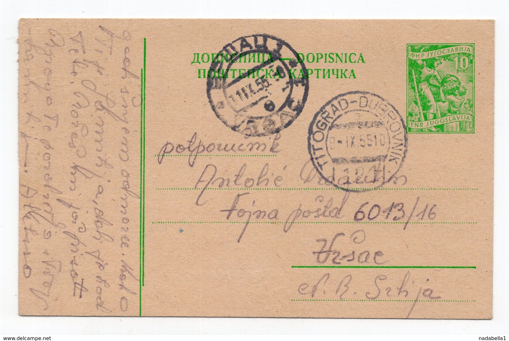 1955 YUGOSLAVIA, MONTENEGRO, TPO 121 TITOGRAD-DUBROVNIK, SENT TO VRSAC, USED STATIONERY CARD - Postal Stationery