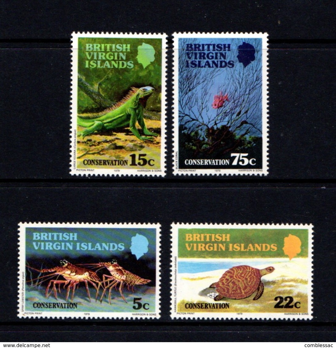 BRITISH  VIRGIN ISLANDS    1979    Wildlife  Conservation    Set  Of  4    MNH - British Virgin Islands