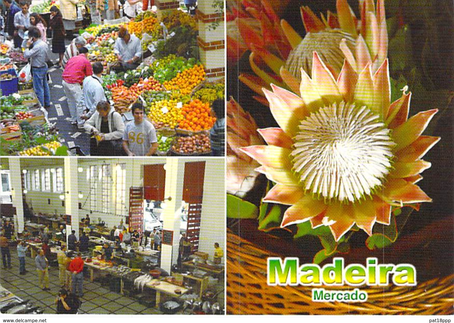 ** Lot De 20 Cartes ** MARCHE Market Markt : Marchés Du Monde / World Markets / Weltmärkte / Wereldmarkten / CPSM CPM GF - Marchés