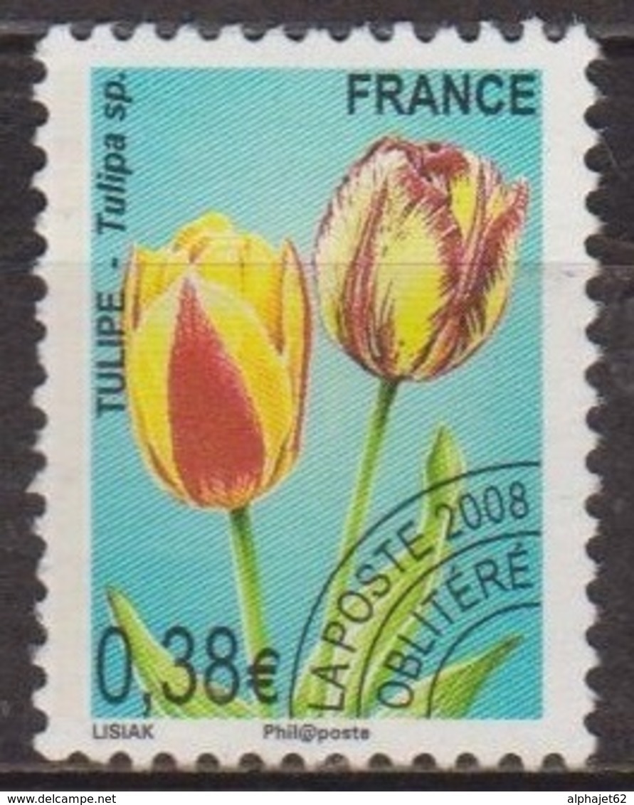 Fleurs, Flore - FRANCE - Tulipe - Préoblitérés - N° 254 - 2008 - 1989-2008