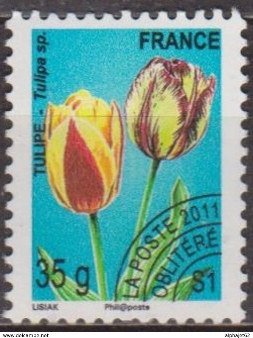 Fleurs, Flore - FRANCE - Tulipe - Préoblitérés - N° 259 - 2011 - 1989-2008