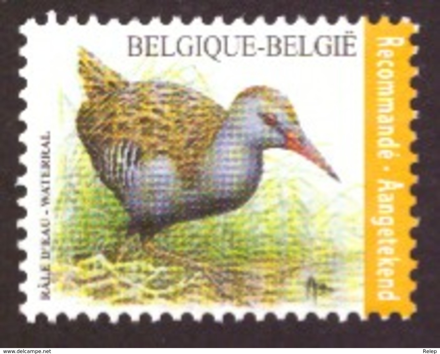 Belgique 2017 - Birds - Rallus Aquaticus  - MNH - Côte € 8.00 Registrered Letter Stamp - Nuevos