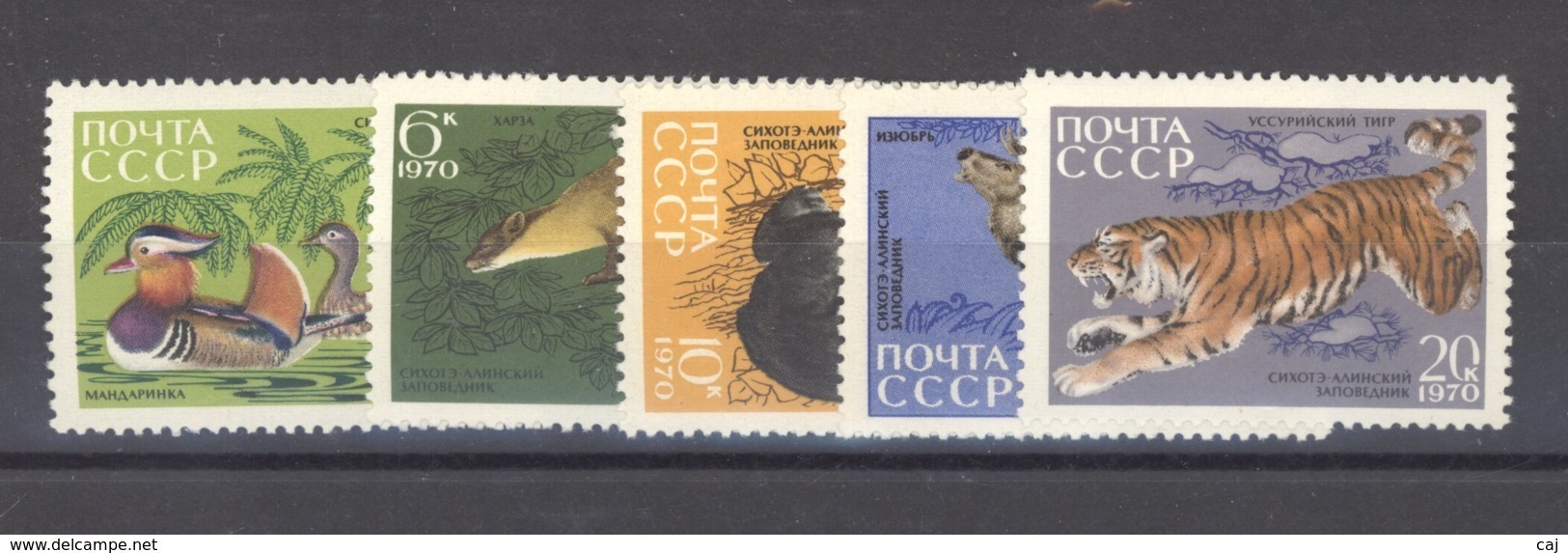 RU1  -  Russie  :  Yv  3644-48  ** - Unused Stamps