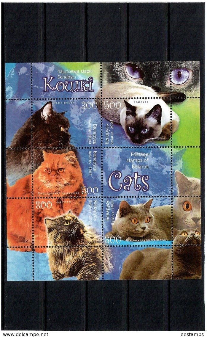 Belarus 2004 .Cats. S/S Of 5v: 300, 500, 500, 800, 800 + Label.  Michel # BL 43 - Bielorussia