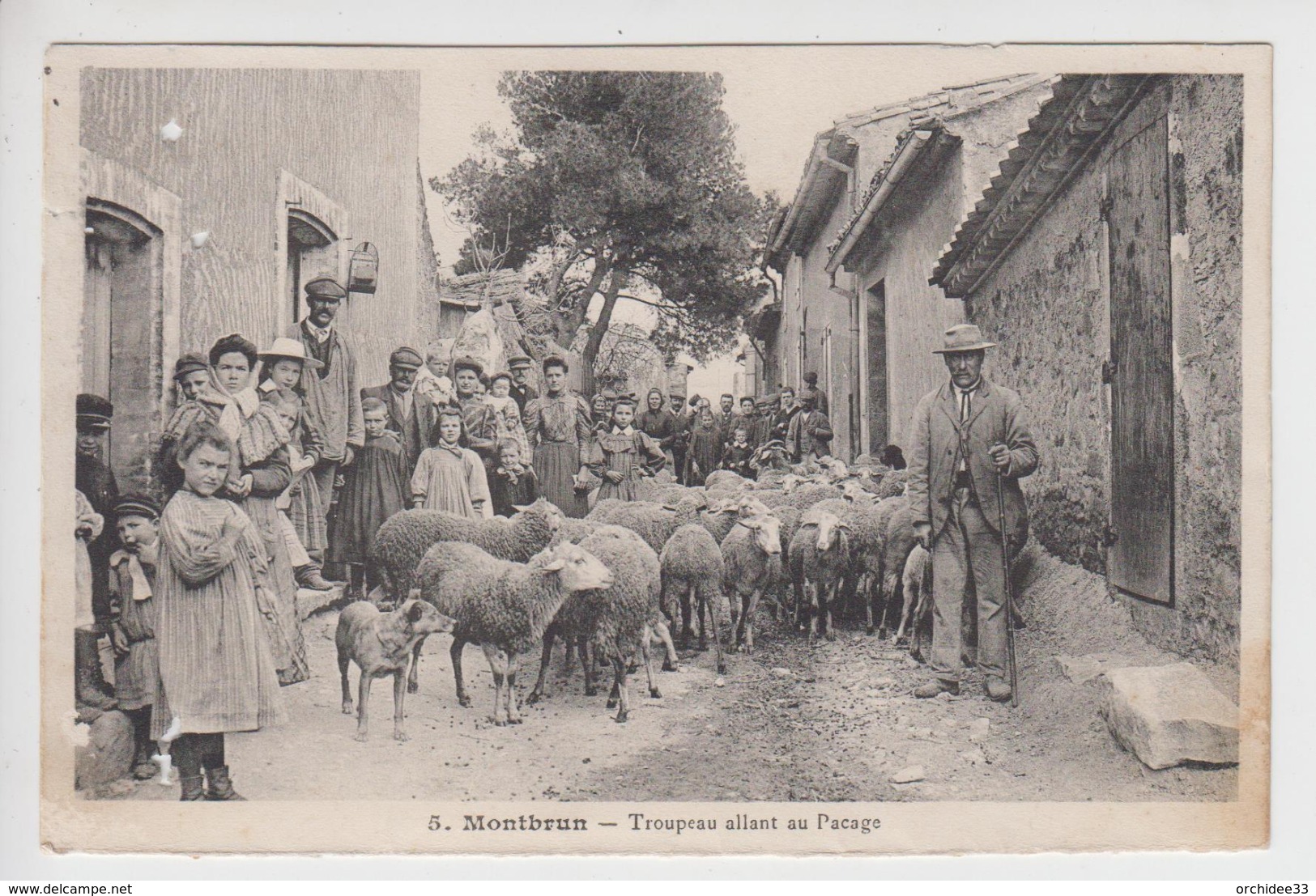 Lot De 2 CPA Montbrun - Troupeau Allant Au Pacage (très Belle Scène Avec Moutons) - Autres & Non Classés