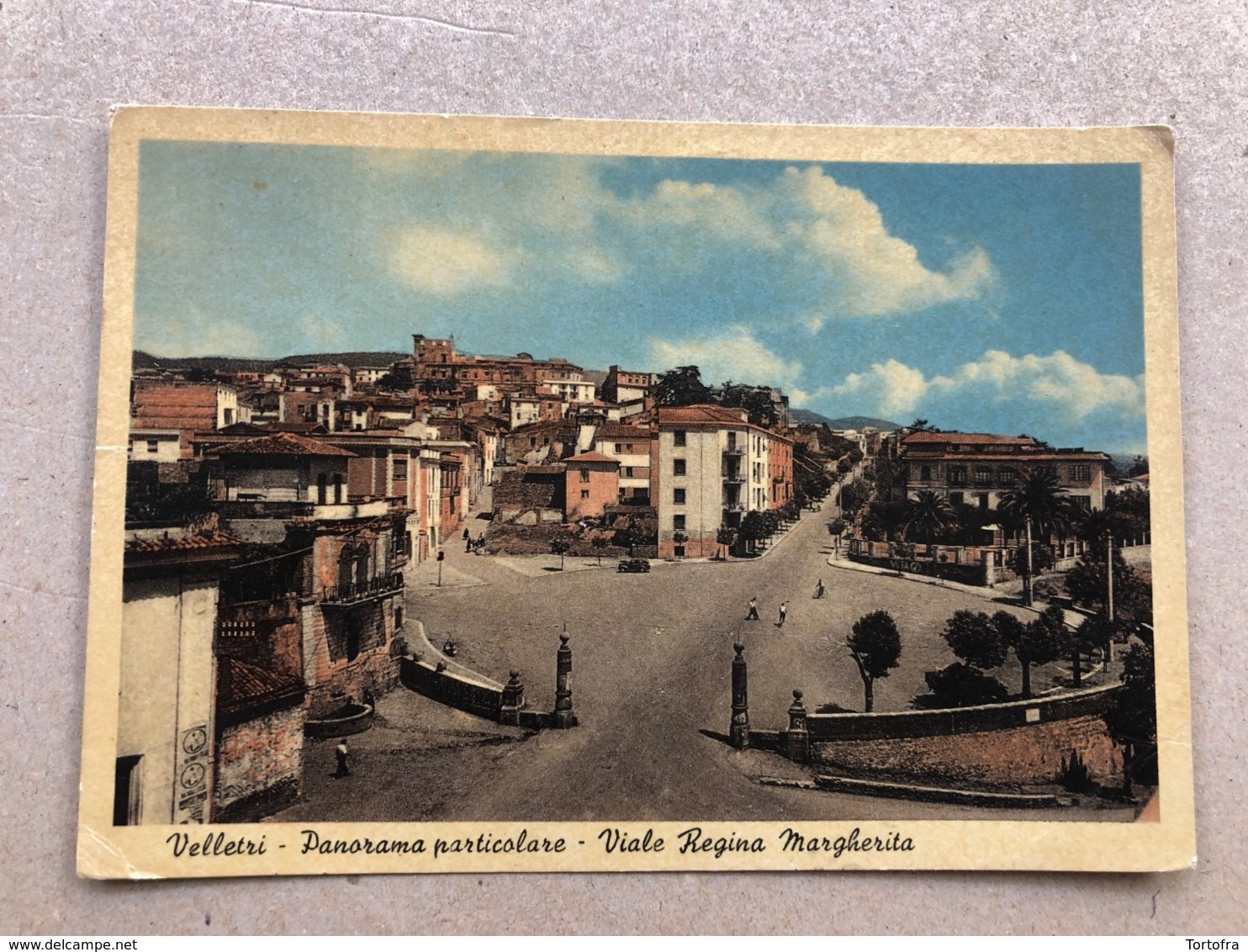 VELLETRI PANORAMA PARTICOLARE VIALE REGINA MARGHERITA  1953 - Velletri