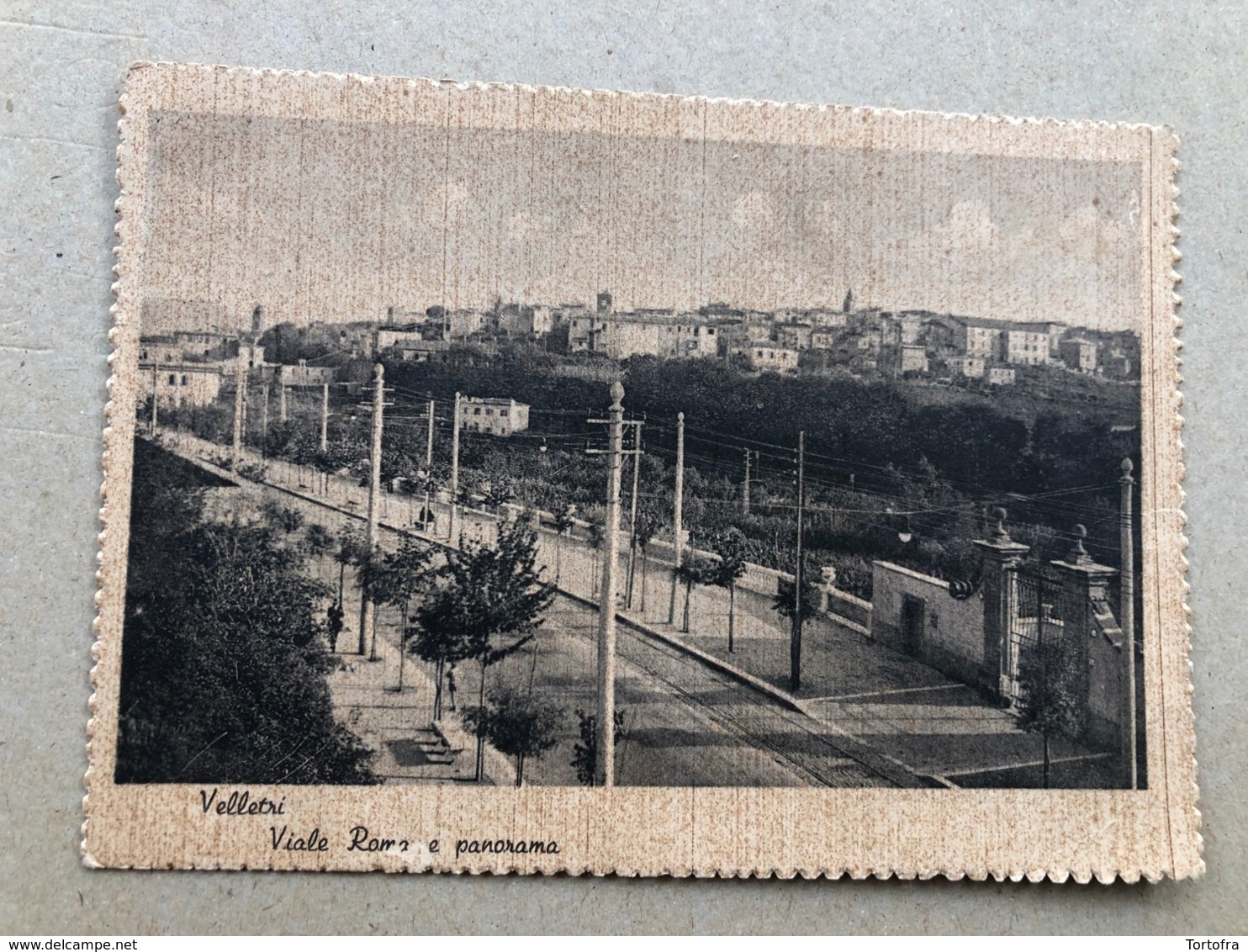 VELLETRI VIALE ROMA E PANORAMA  1943 - Velletri