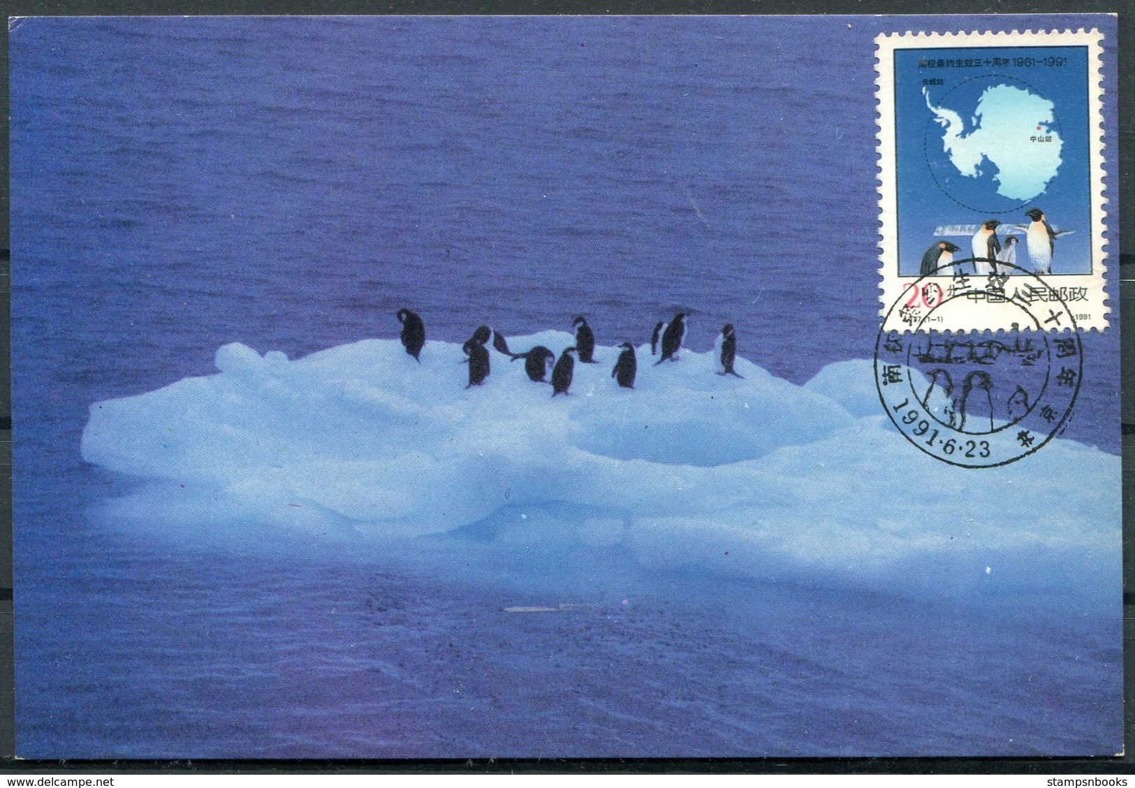 1991 China Antarctica Polar Penguin Maxicard - Covers & Documents