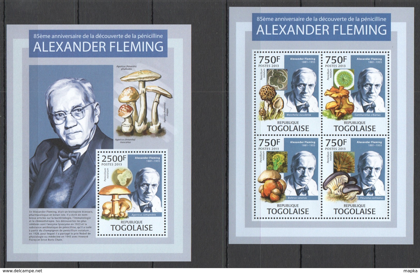 TG735 2013 TOGO TOGOLAISE FLORA MUSHROOMS SCIENCE PENICILLIN ALEXANDER FLEMING KB+BL MNH - Pilze