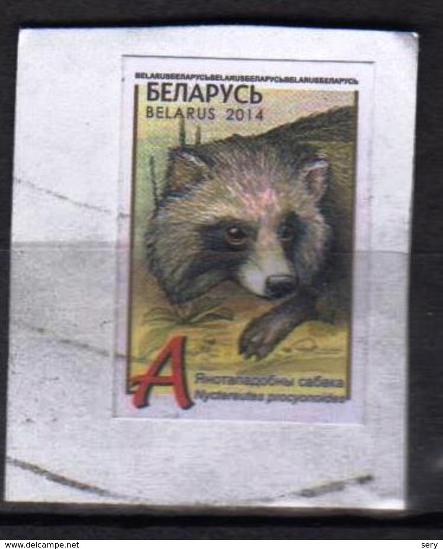 Belarus  1 Used  Stamp  On Part Of The Envelope Raccoon Dog - Altri & Non Classificati