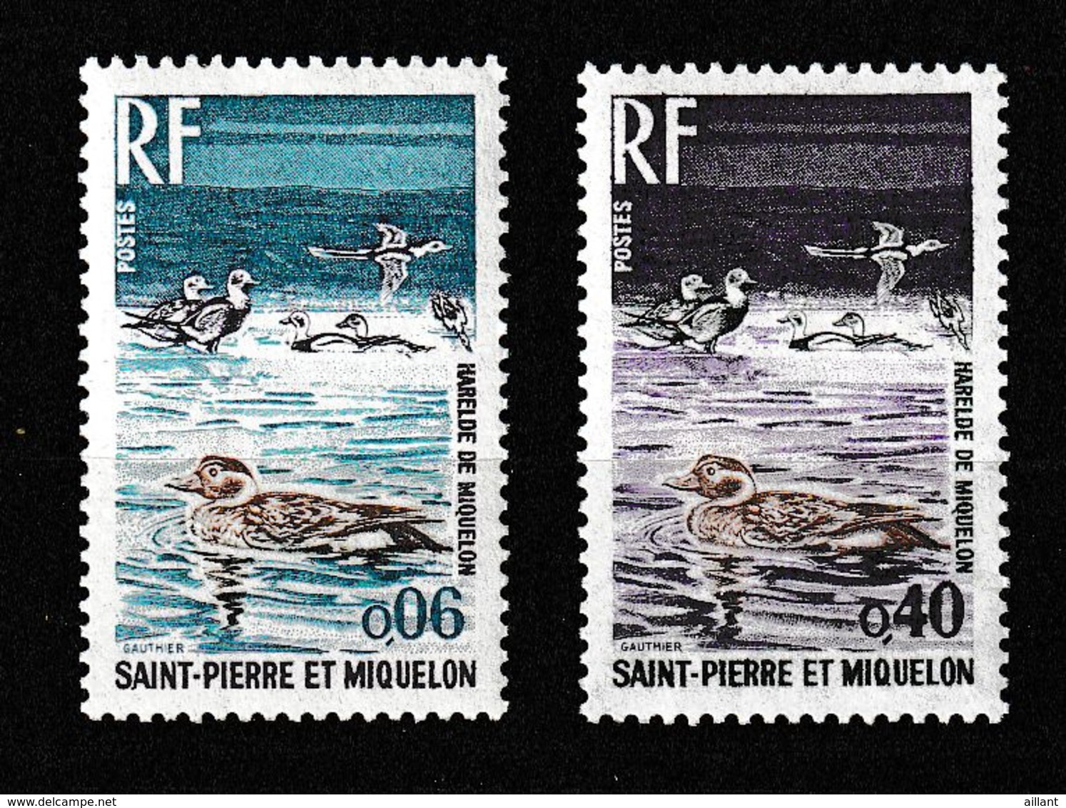 Saint Pierre-et -Miquelon. 1973; Canards. Harelde Boréale .Long-tailed Duck - Anatre