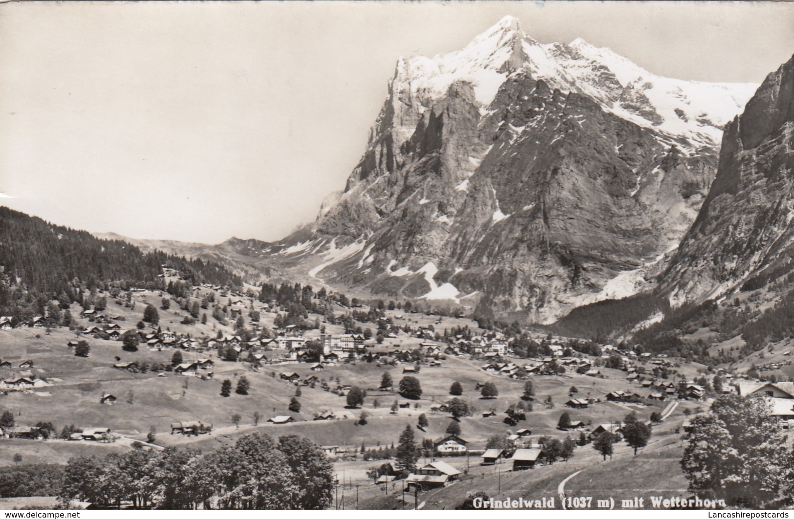 Postcard Grindelwald Mit Wetterhorn My Ref  B13774 - Grindelwald