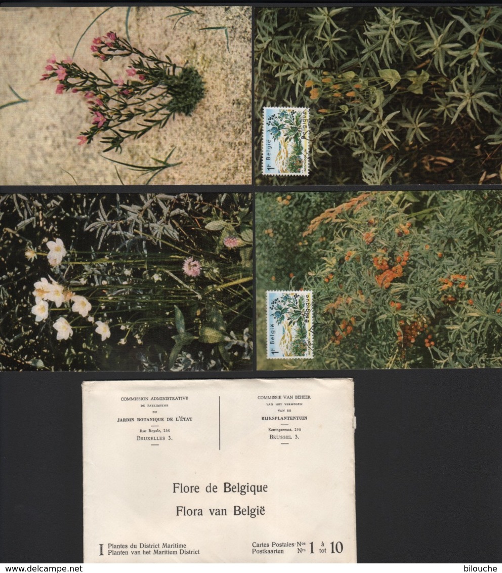 LOT DE 10 CARTES / FLORE DE BELGIQUE / PLANTES DU DISTRICT MARITIME / 4 CARTES AVEC LE COB 1409 - 1961-1970