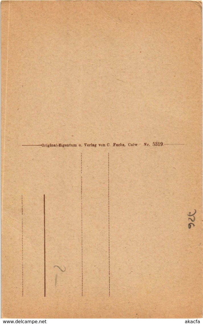 CPA AK Bad Teinach- GERMANY (908039) - Kaiserstuhl