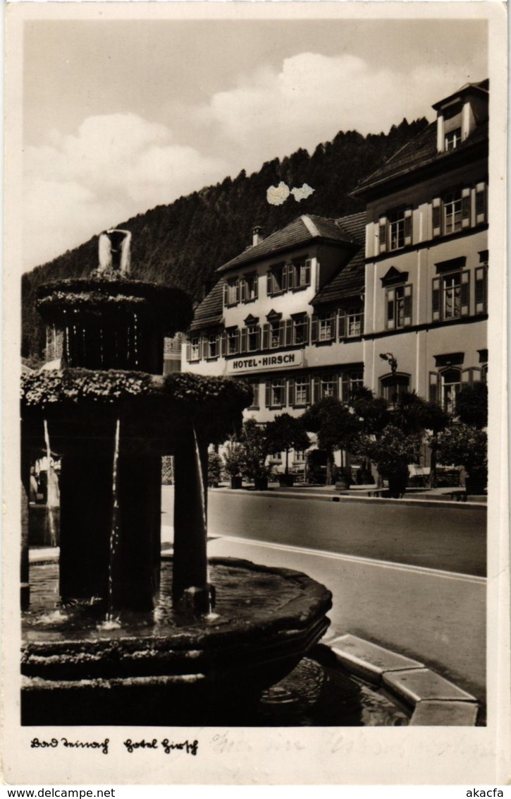 CPA AK Bad Teinach- Hotel Hirsch GERMANY (908045) - Kaiserstuhl