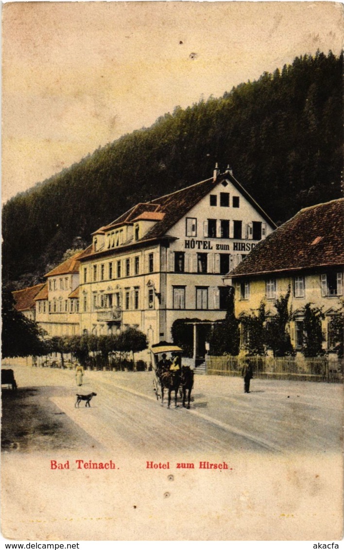 CPA AK Bad Teinach- Hotel Hirsch GERMANY (908046) - Kaiserstuhl