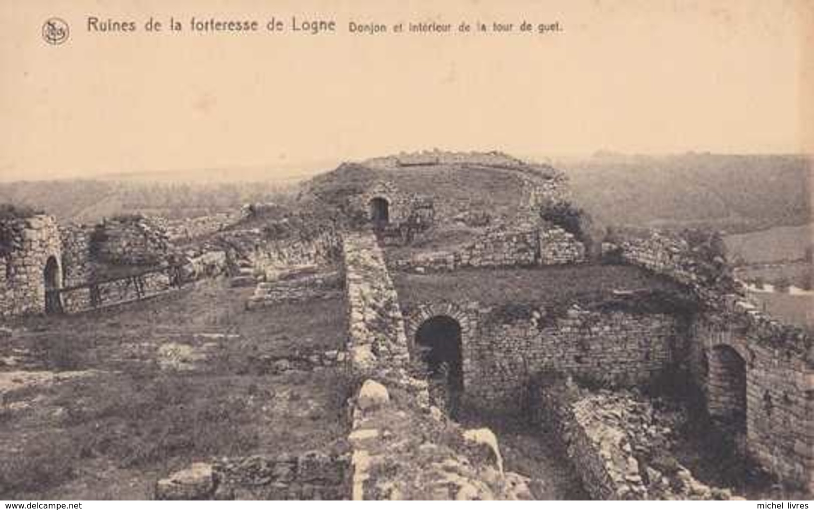 Logne - Vieuxville - Ferrières - Ruines De La Forteresse - Pas Circulé - Nels - TBE - Ferrieres