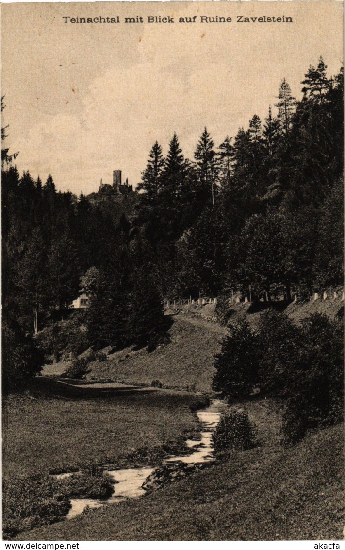 CPA AK Bad Teinach- Mit Burgruine Zavelstein GERMANY (908056) - Kaiserstuhl